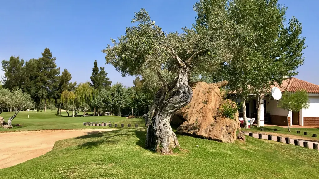 Lauro Golf 29.webp