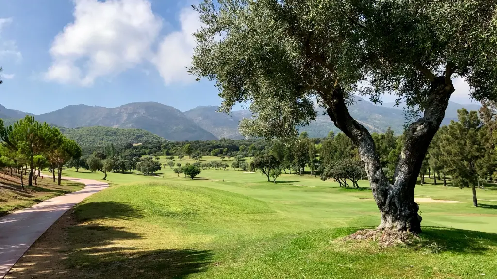 Lauro Golf 30.webp