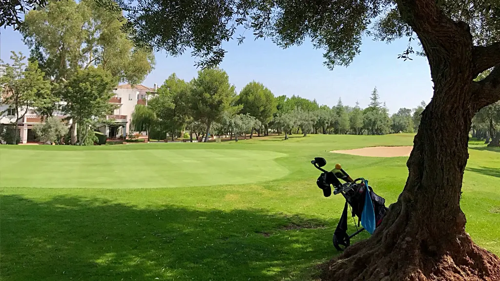 Lauro Golf 40.webp