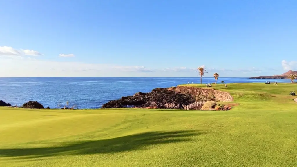 amarilla-golf-2.webp