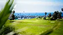 amarilla-golf-19.webp