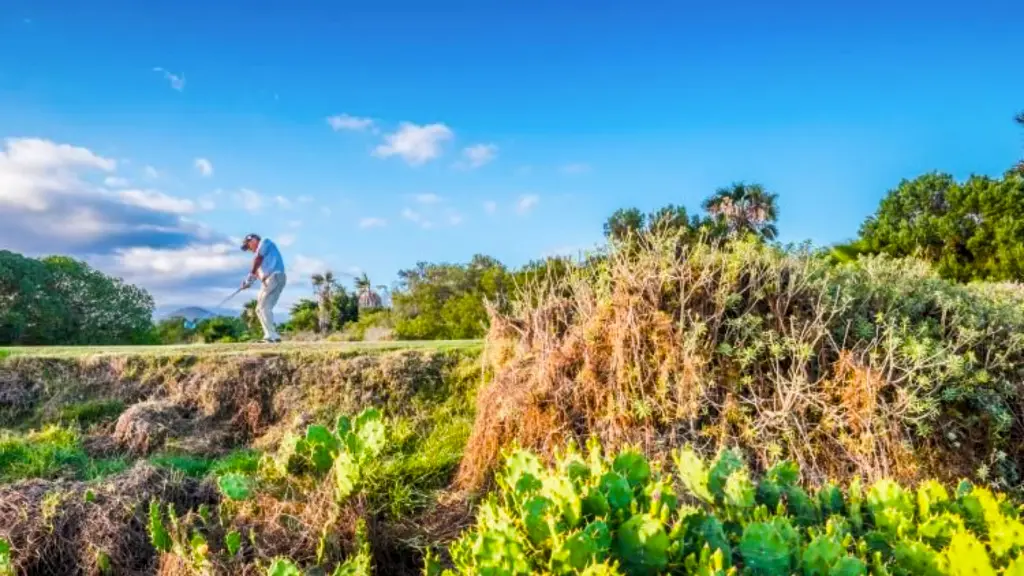 amarilla-golf-28.webp