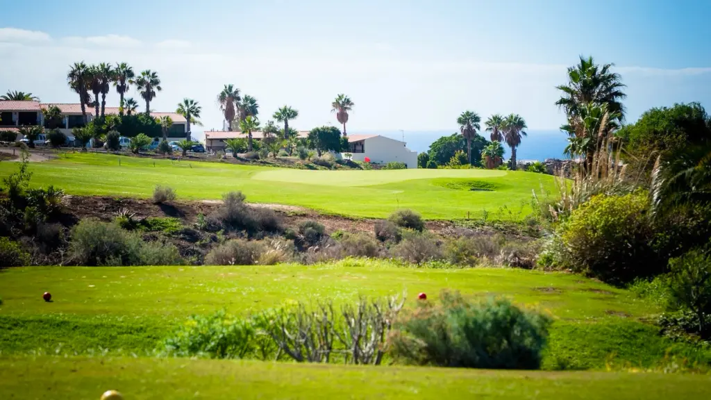 amarilla-golf-23.webp