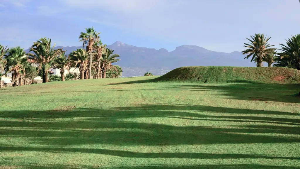 amarilla-golf-21.webp