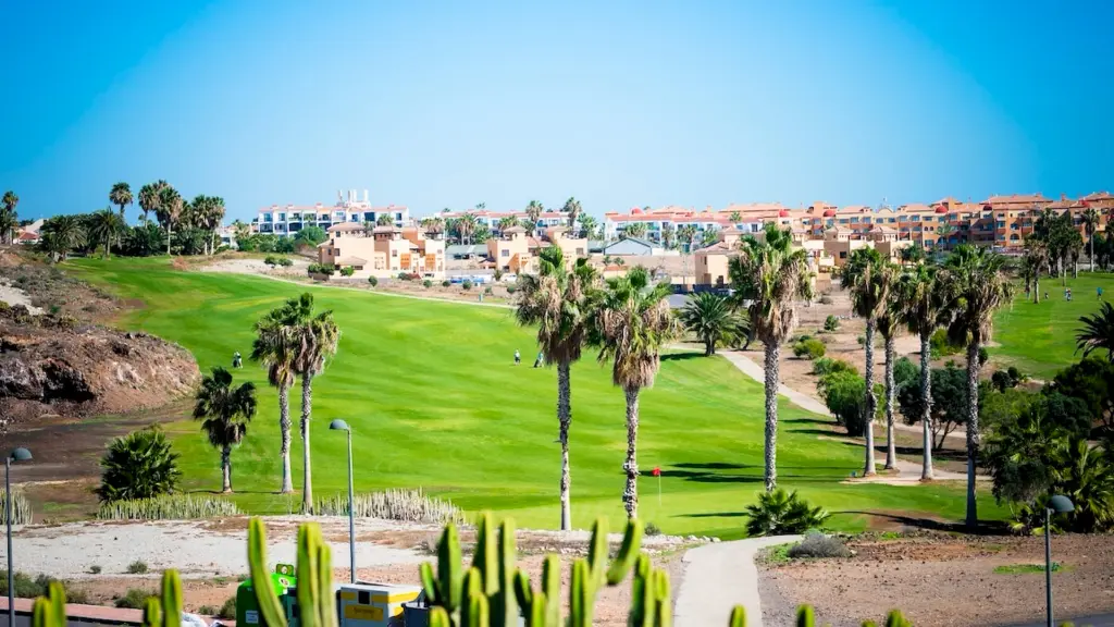 amarilla-golf-22.webp