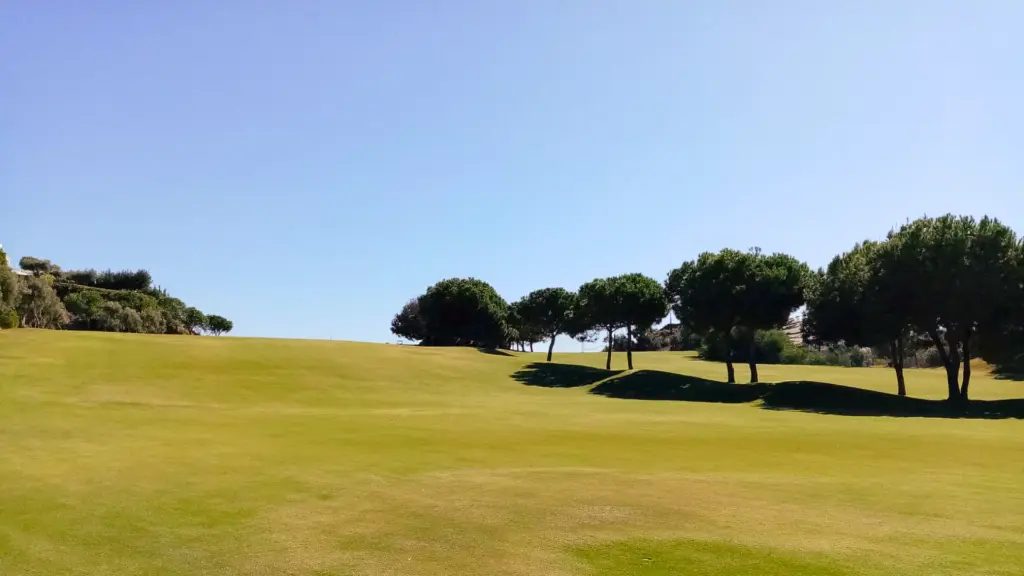 anoreta-golf-32.webp