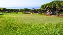 cabopino-golf-5.webp