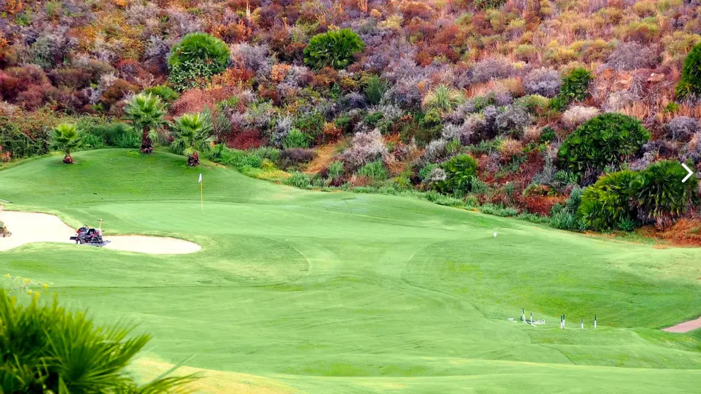 calanova-golf-15.webp
