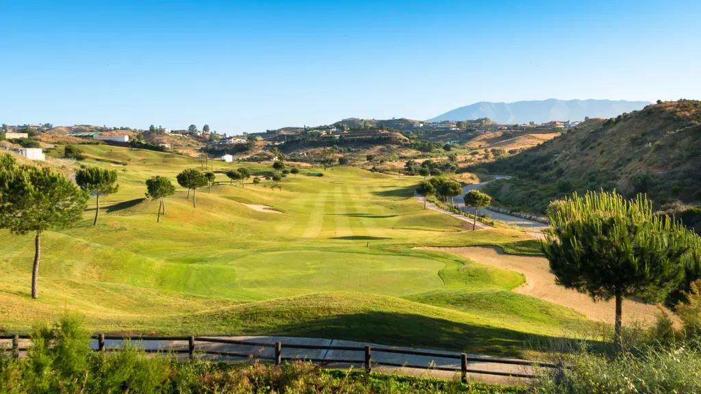 calanova-golf-8.webp