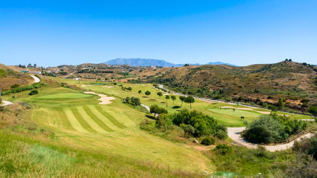 calanova-golf-9.webp