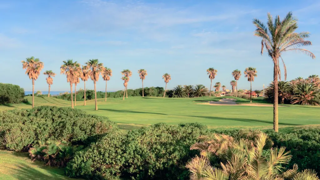 costa-ballena-ocean-golf-41.webp