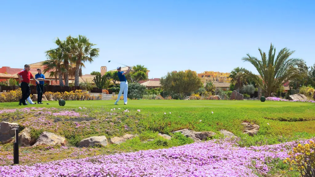 desert-spring-golf-18.webp