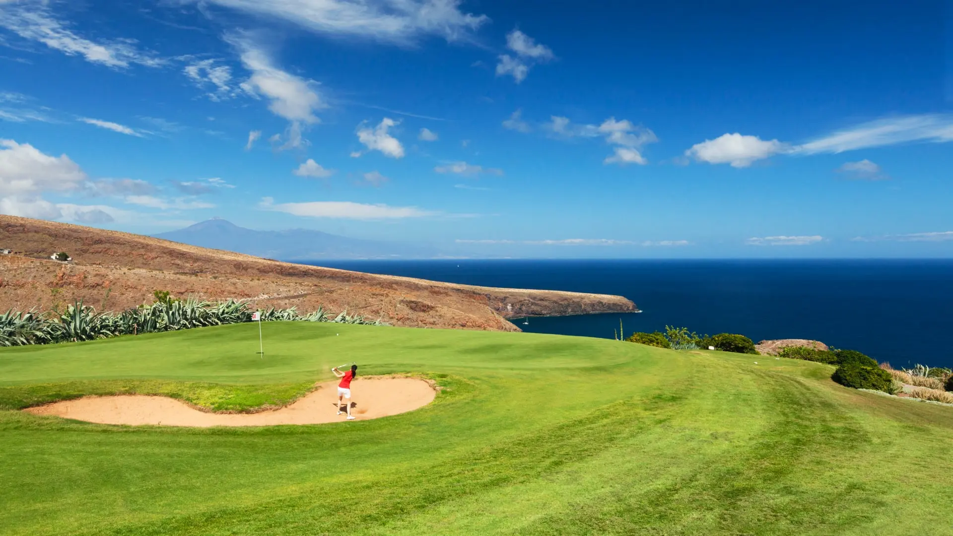 Canary Islands