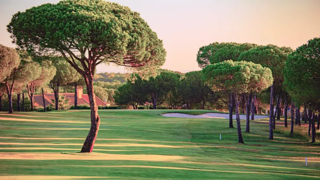 Bellavista Golf