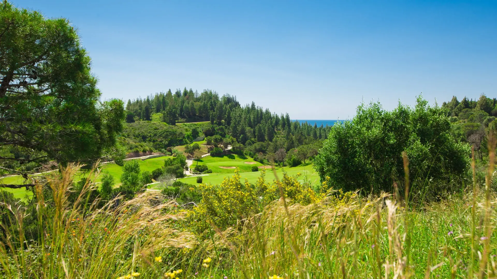 Chaparral Golf Course