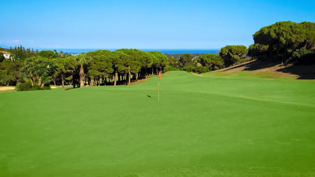 The Alto Club Golf & Academy